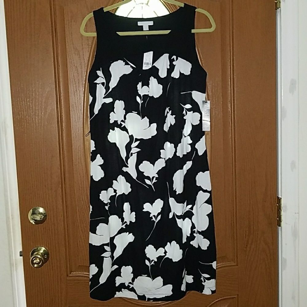 New York & Company Stretch dress Sz M NWT